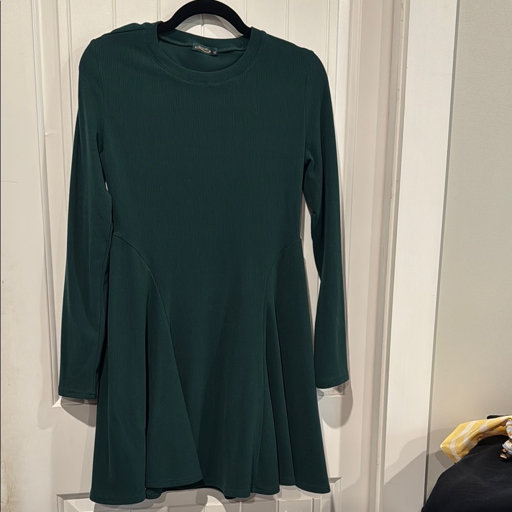 NWOT Emerald Green Long Sleeve Fit-and-Flare Dress